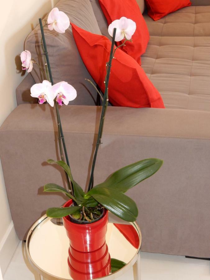 פורטימאו Beach & Sea Apt, Fast Wifi, Airco, Private Parking And Pool מראה חיצוני תמונה